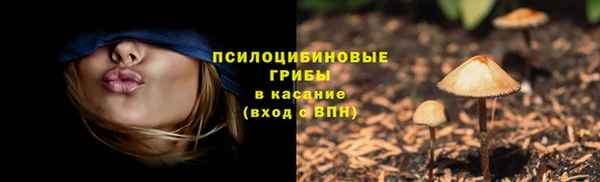 мескалин Новозыбков