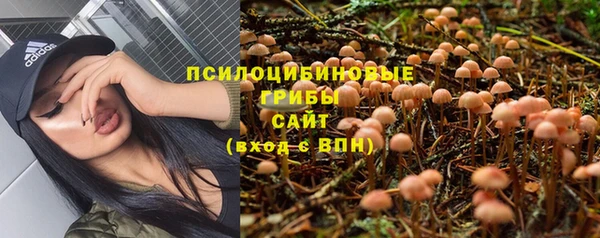 стафф Абаза