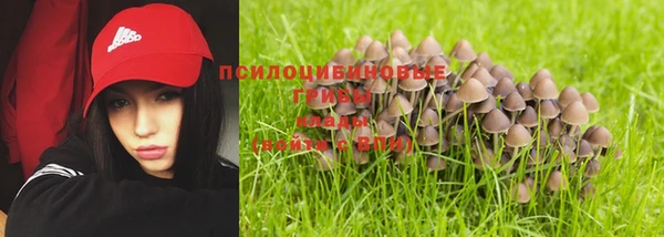 мескалин Новозыбков