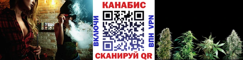 Шишки марихуана гибрид Новое Девяткино